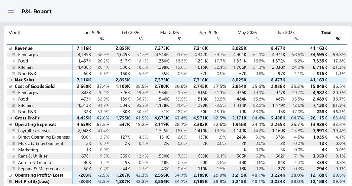 P&L report
